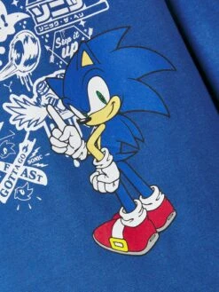 NAME IT Langærmede Toppe Shirts Sonic The Hedgehog Børn Blå 5 NAME IT Langærmede Toppe Shirts Sonic The Hedgehog Børn Blå -ChicVerden Salgsbutik 7562f0a1357f4035df9a56b3cb6c1742