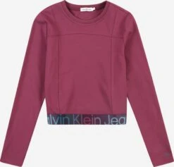 Calvin Klein Jeans Langærmede Toppe Bluser & T-shirts Børn Lysviolet