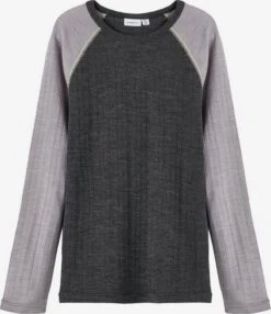 NAME IT Langærmede Toppe Shirts Børn Blå / Grå